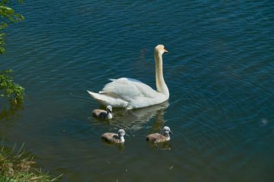 Прикрепленное изображение: Image00001.jpg